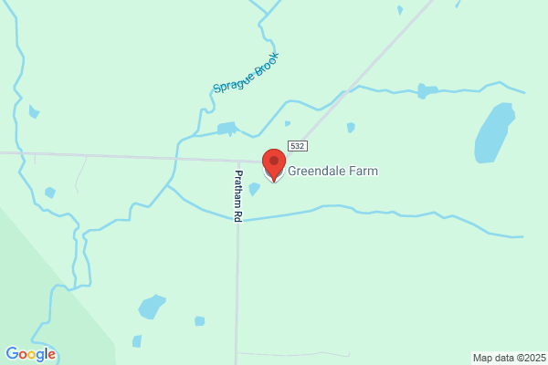 Windy Pines Farm