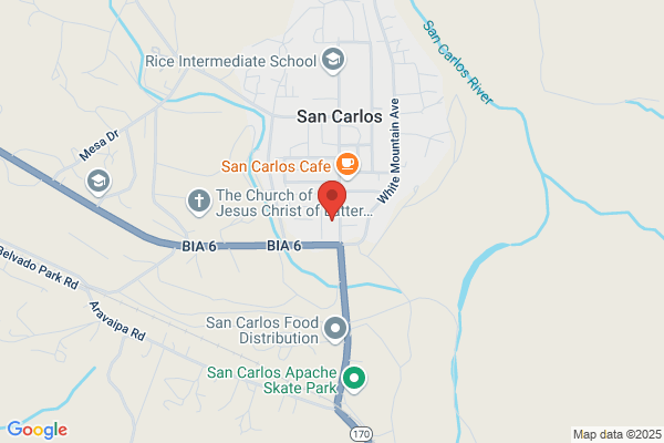 San Carlos Unified School District Elementary School
