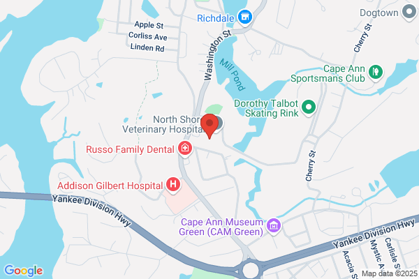 Alignment Chiropractic