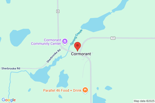 Cormorant Shop