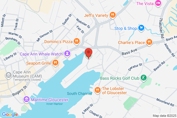 Yankee Fleet Fishing Whale Watches & Charters