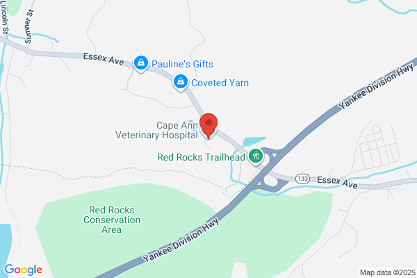 Cape Ann Veterinary Hospital