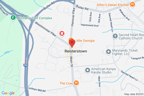 Metropolitan Security Systems