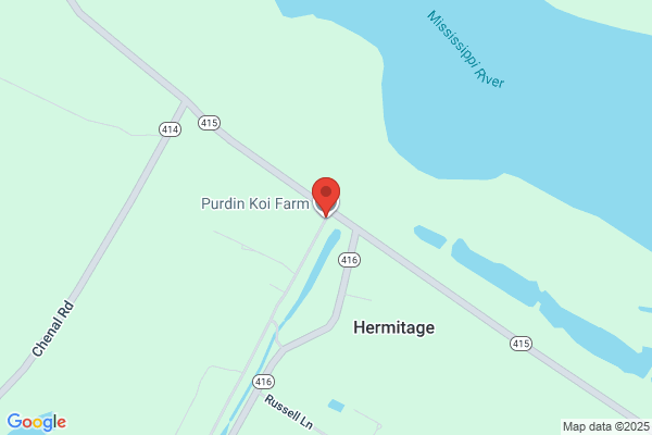 Purdin Koi Farm
