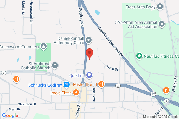 AutoZone Auto Parts