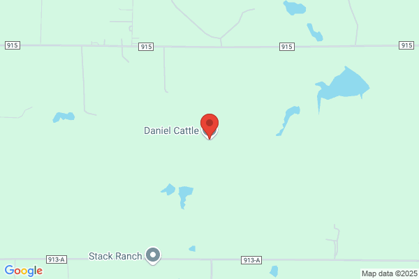 Daniel Cattle Co