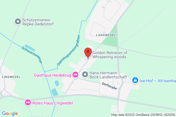 Goldenwood, Inc.