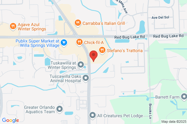 Advance Auto Parts