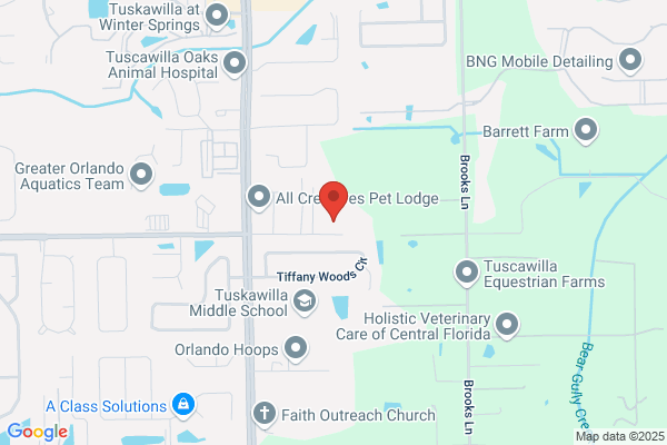 Micro Systems Management Inc