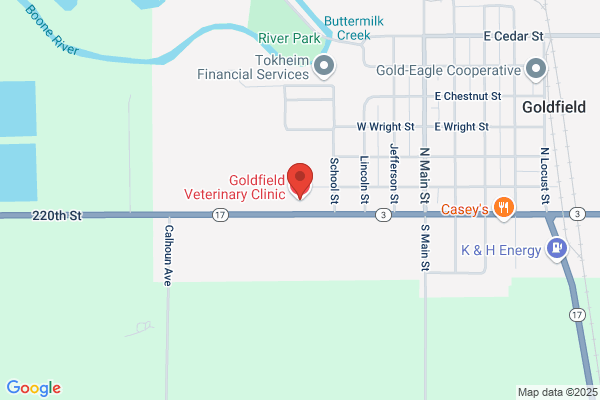 Goldfield Veterinary Clinic