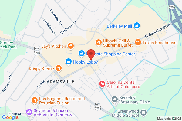 Advance Auto Parts