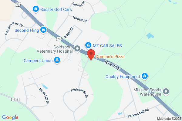 Domino's Pizza