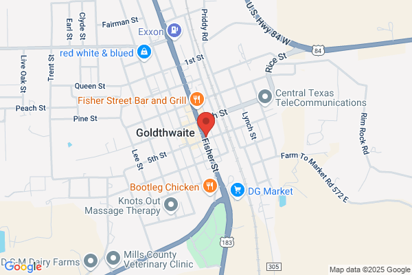Goldthwaite Eagle the