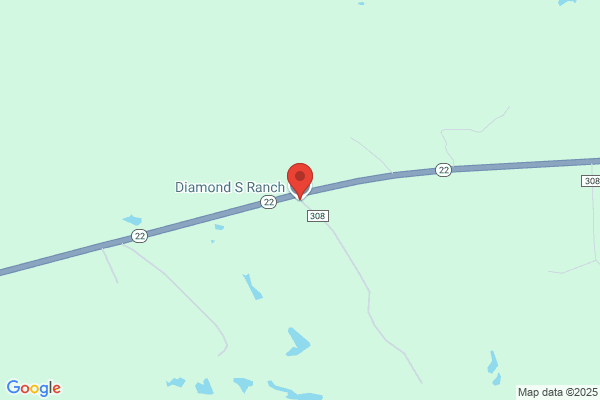 Diamond S Ranch