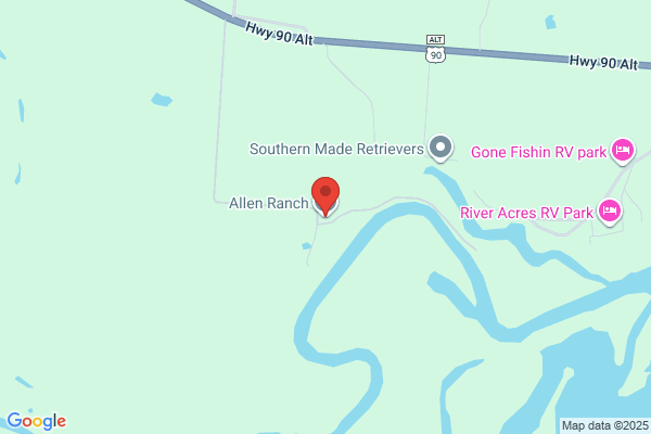 Allen Ranch Cattle and Land Services