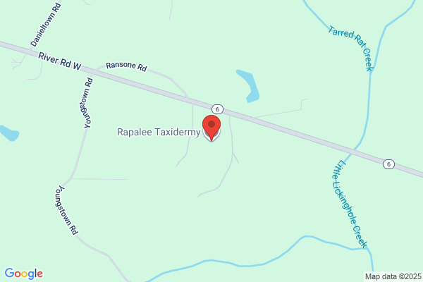 Rapalee Taxidermy Inc