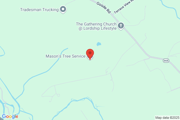 Mason's Tree Service