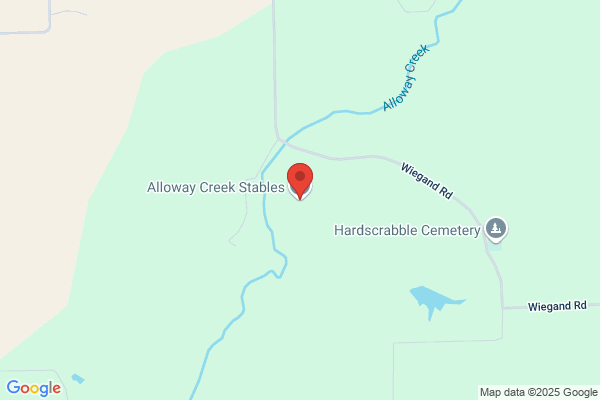 Alloway Creek Stables