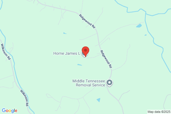 Horne James L