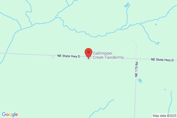 Brush Creek Taxidermist