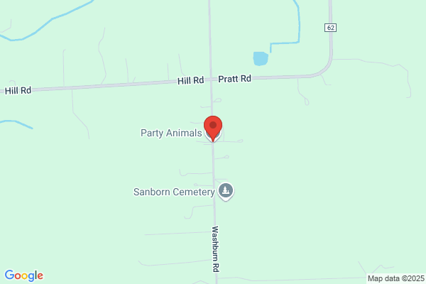 Party Animals