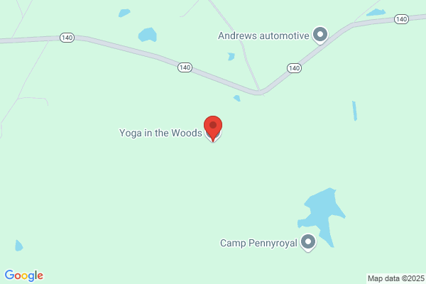 Yoga In the Woods