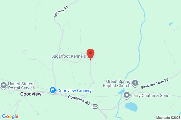 Sugarfoot Kennels