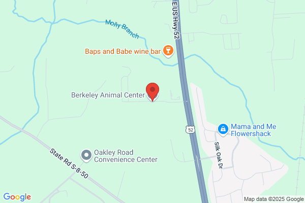 Berkeley County Spca