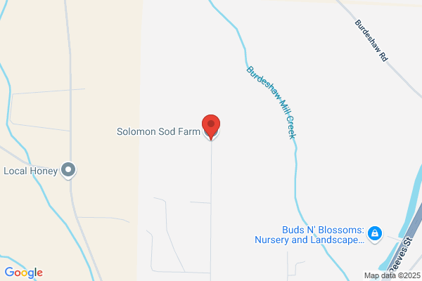 Solomons Farm