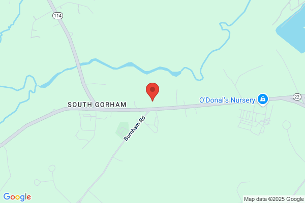Animal Hospital of South Gorham