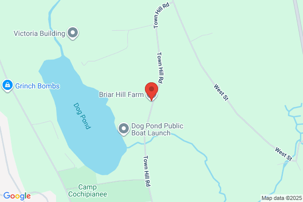 Town Hill Evergreen Farm