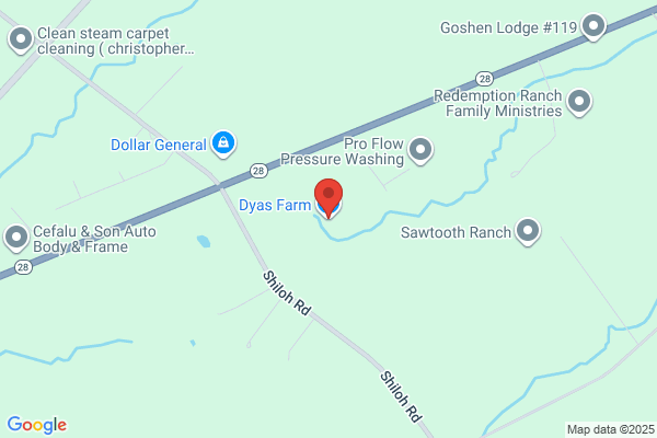 Dyas Farm