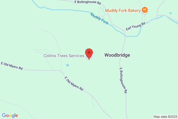 Simmons Tree Services