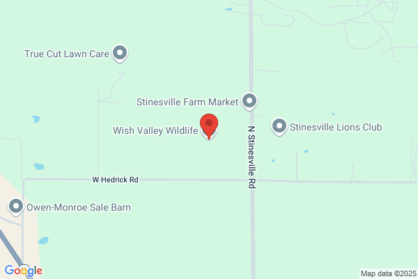 Wish Valley Wildlife