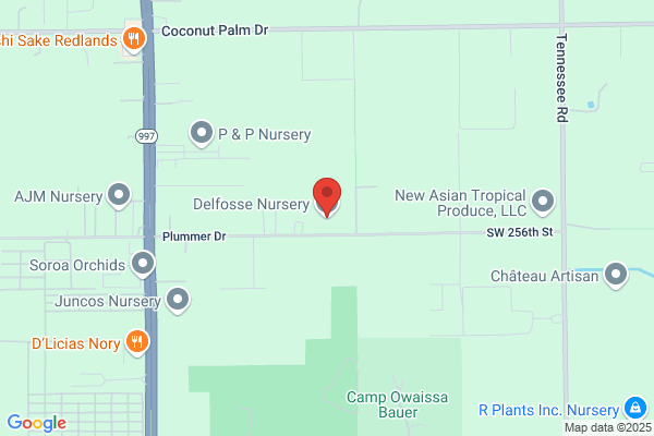 Delfosse Nursery