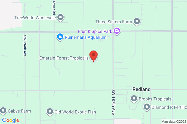 Emerald Forest Tropicals