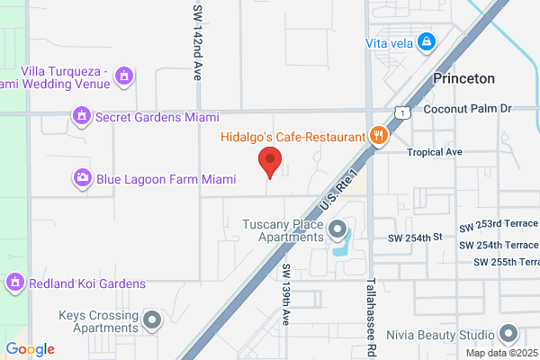 Miami Transformers