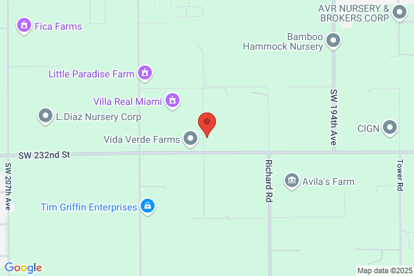 Vila & Son Tree Farm