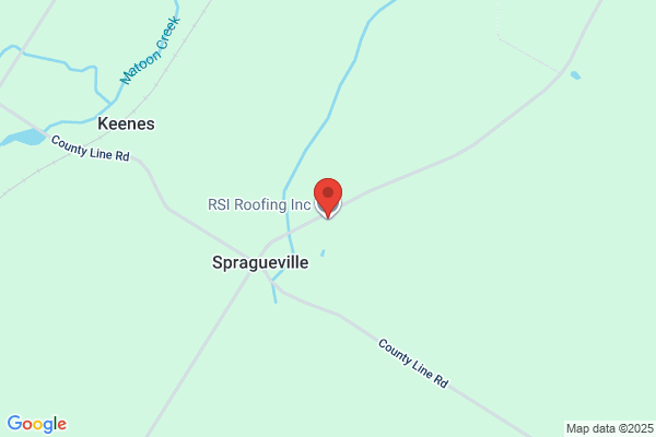 Rsi Roofing Inc