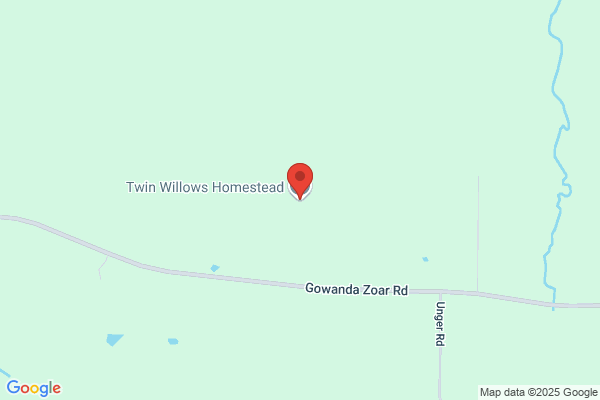Twin Pines