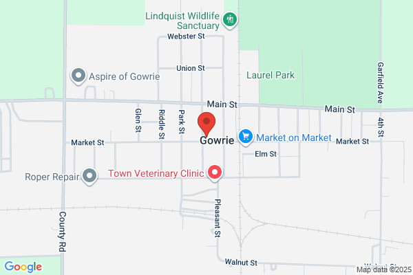 Gowrie Tire & Service