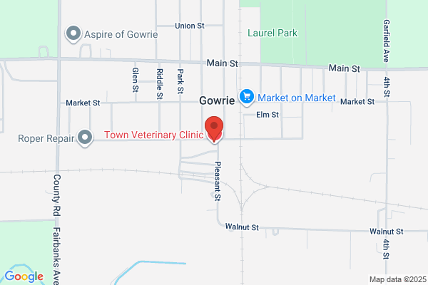 Gowrie Veterinary Service