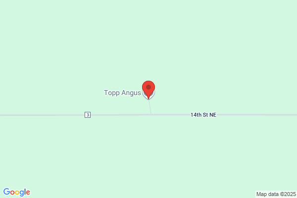 Topp Angus
