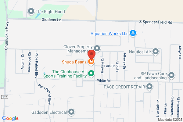 Hummingbird Florist & Gifts