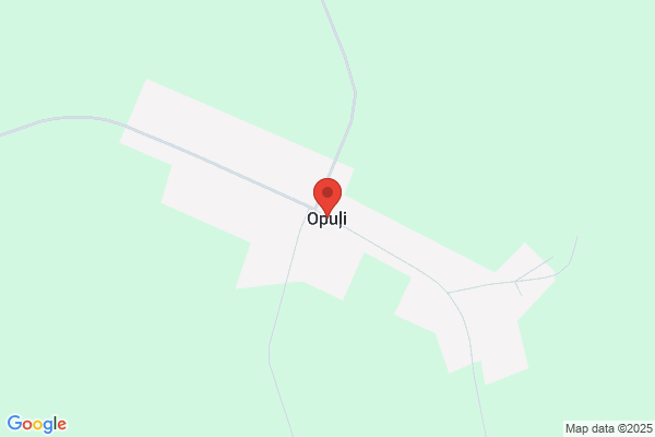 OpulIS