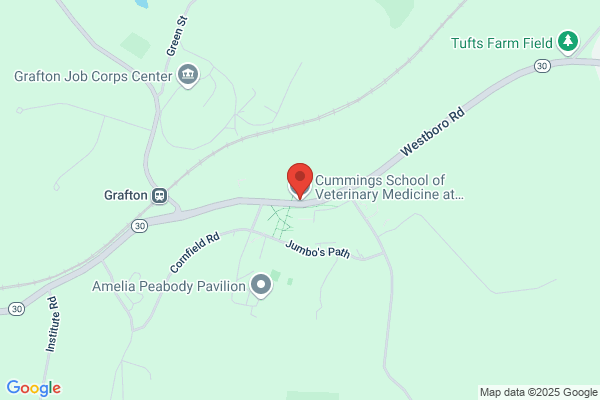 Tufts New England Veterinary Medical Center