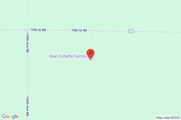 Collette Alan Potato Warehouse