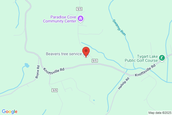 Beavers Tree Service
