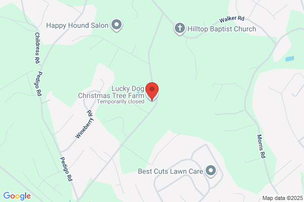 Lucky Dog Tree & Shrub Service