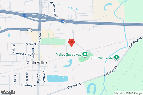 Blue Valley Public Safety Inc